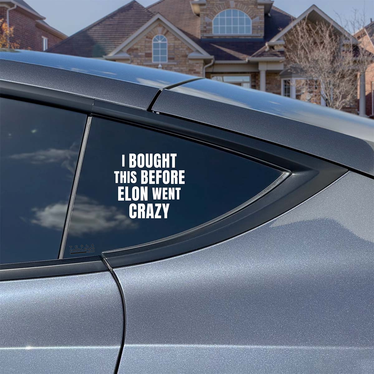 I Bought This Before Elon Went Crazy | Cut Vinyl Letters Decal