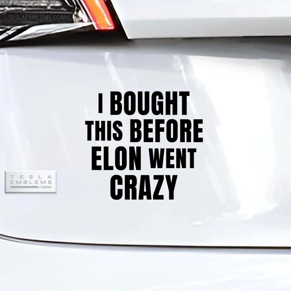I Bought This Before Elon Went Crazy | Cut Vinyl Letters Decal - Image 2