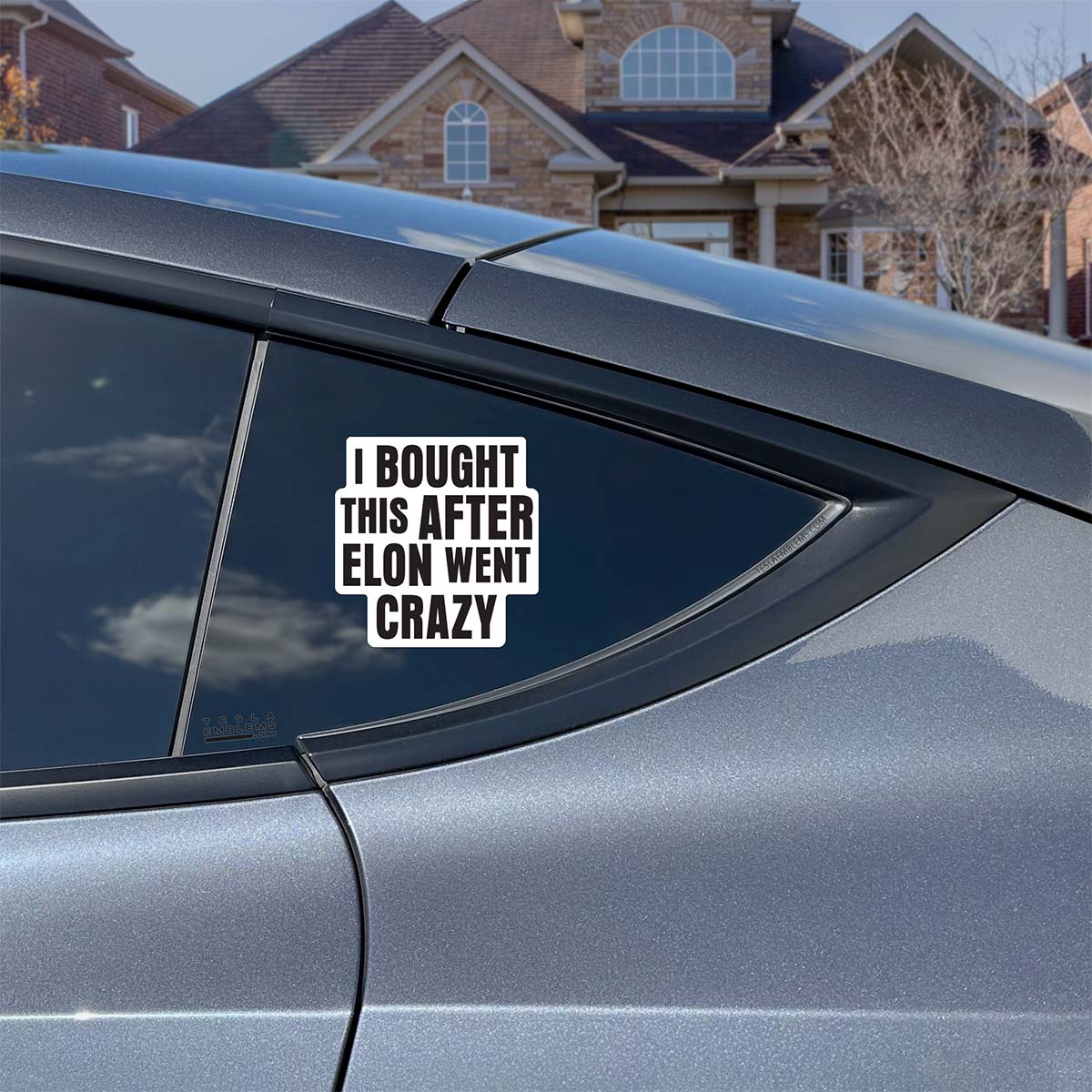 I Bought This After Elon Went Crazy Vinyl Decal Sticker - Image 4
