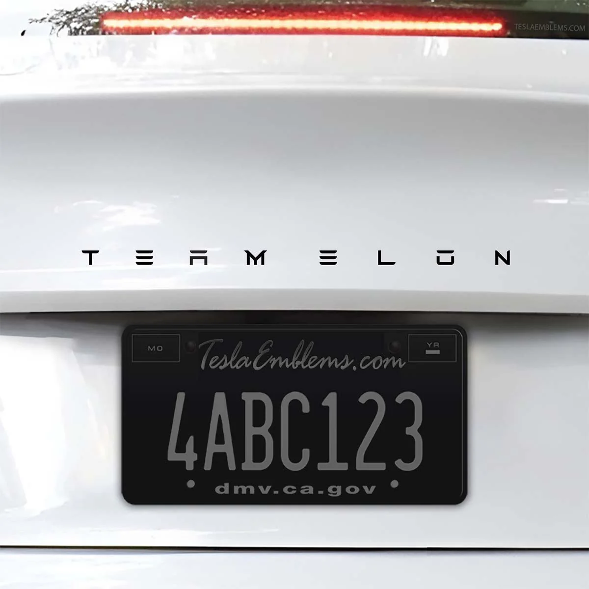 Team Elon Letters | Cut Vinyl Letters Decal