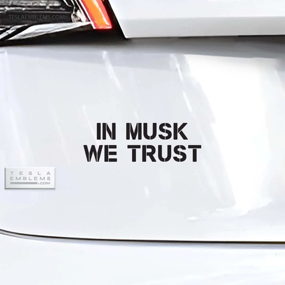 In Musk We Trust | Cut Vinyl Letters Decal
