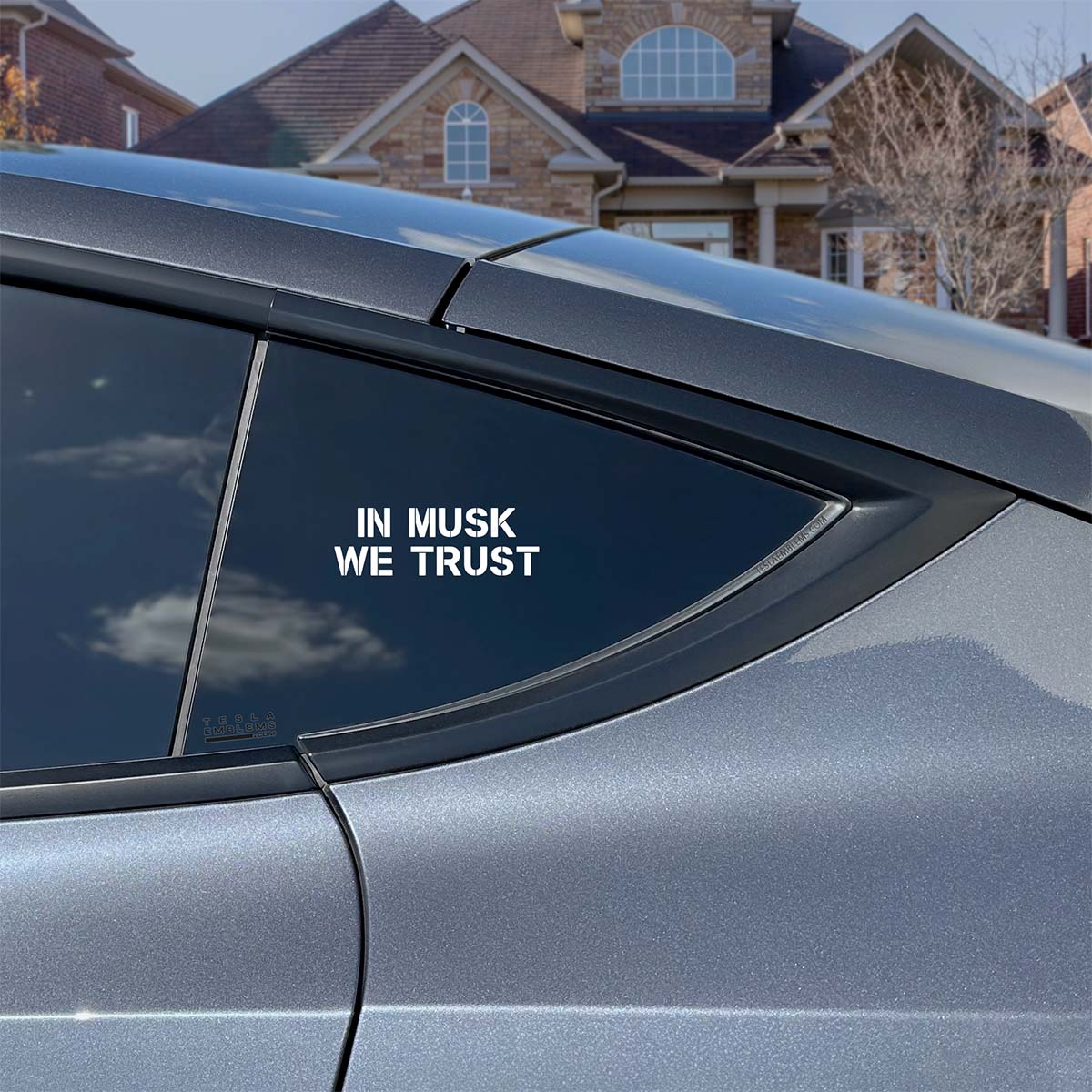 In Musk We Trust | Cut Vinyl Letters Decal - Image 2