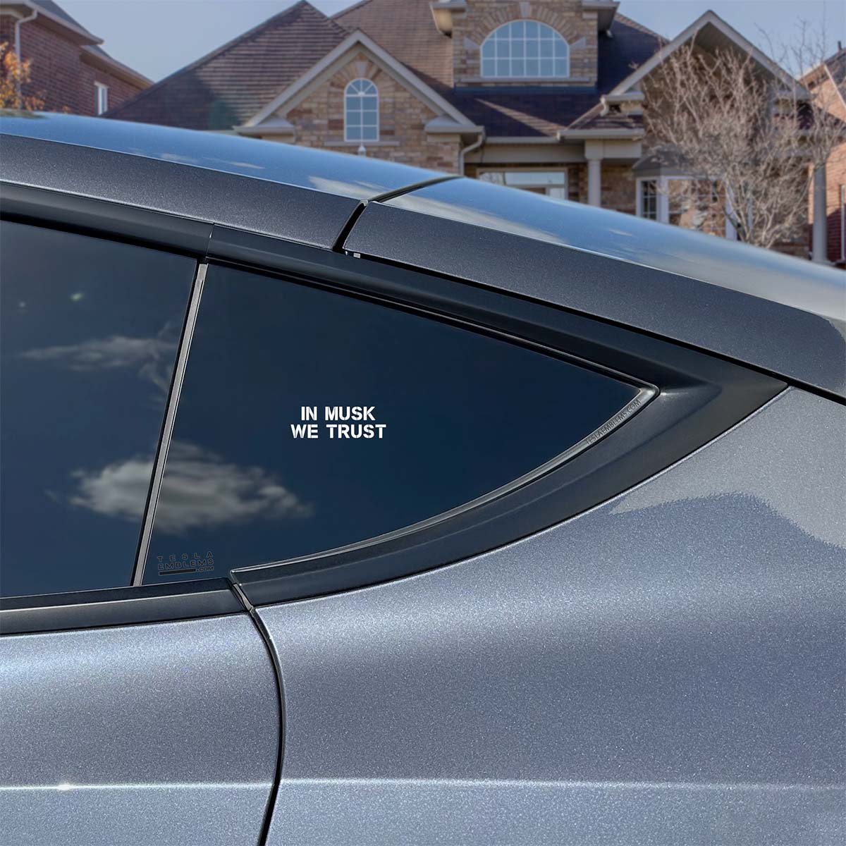In Musk We Trust | Cut Vinyl Letters Decal - Image 4