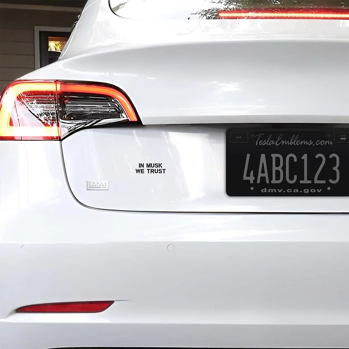 In Musk We Trust | Cut Vinyl Letters Decal - Image 5